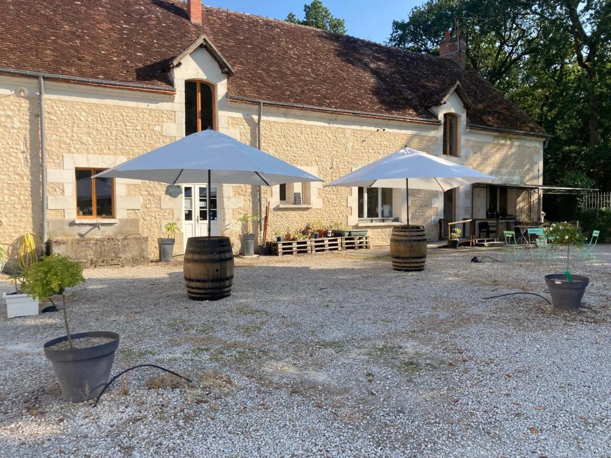 Les Pierres D'Aurele Chambres D'Hotes Saint-Georges-sur-Cher Kültér fotó