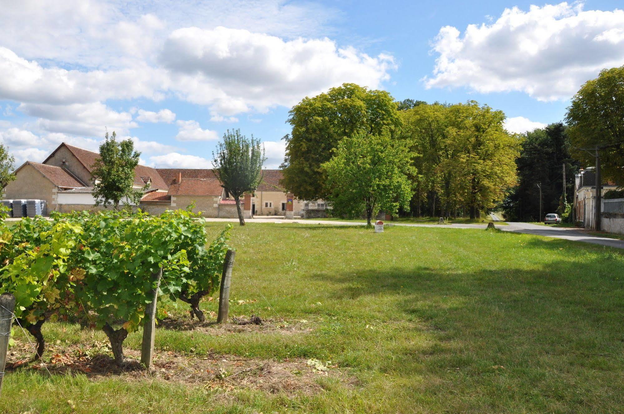 Les Pierres D'Aurele Chambres D'Hotes Saint-Georges-sur-Cher Kültér fotó